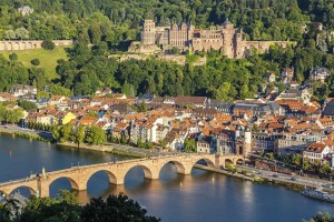 View on Heidelberg image