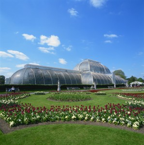 Palm House of Kew Gardens