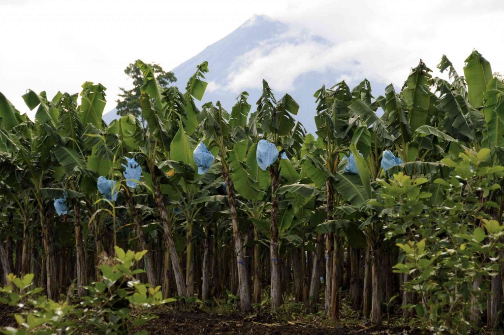 ArenalVolcano