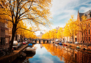 In Amsterdam, the best way to view the majestic fall leaves is from the comfort of a canal cruise.