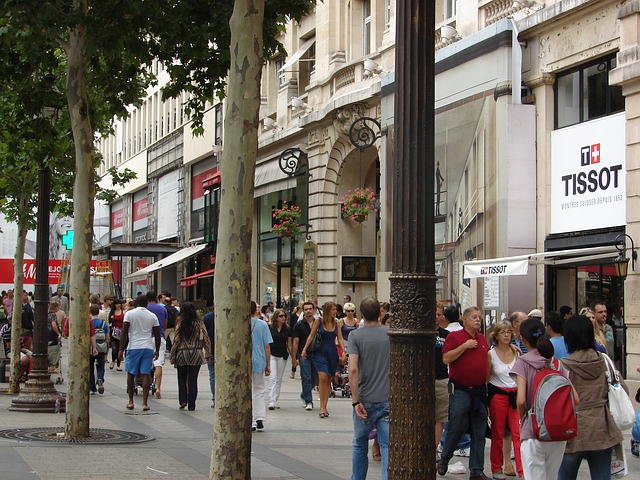 Shopping on the Champs-Elysées - AESU