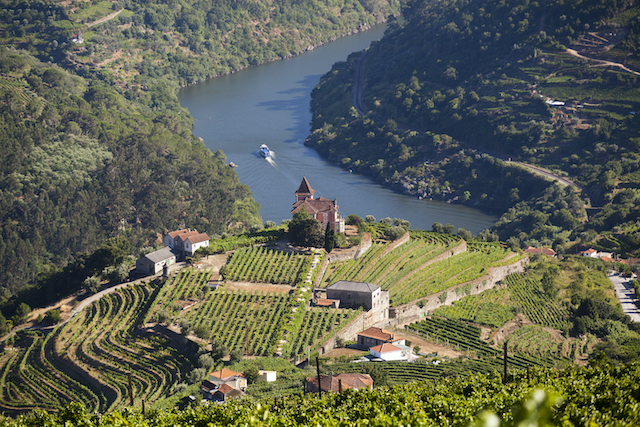 The Wine Regions of Portugal