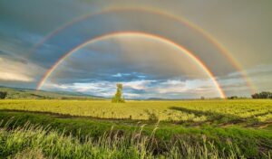 St. Patrick’s Day Traditions from Around the World